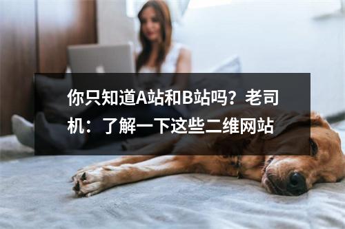 你只知道A站和B站吗?老司机:了解一下这些二维网站