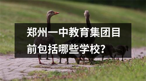 郑州一中教育集团目前包括哪些学校？