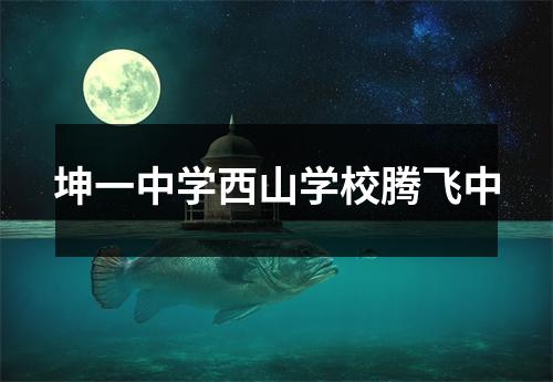 坤一中学西山学校腾飞中