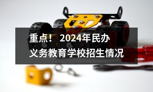 重点! 2024年民办义务教育学校招生情况