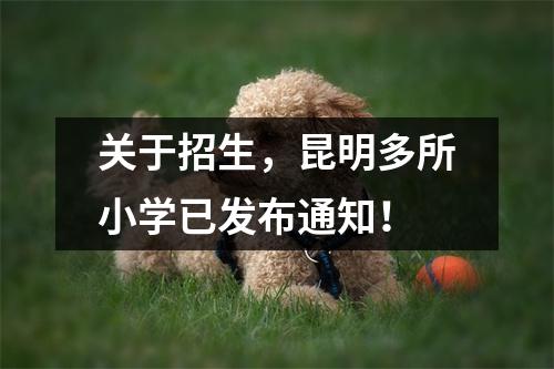 关于招生,昆明多所小学已发布通知!