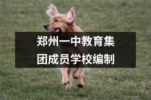 郑州一中教育集团成员学校编制
