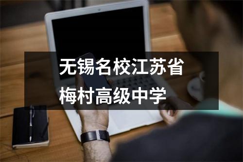 无锡名校江苏省梅村高级中学