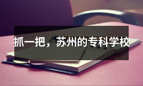 抓一把,苏州的专科学校