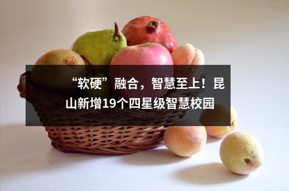“软硬”融合,智慧至上!昆山新增19个四星级智慧校园