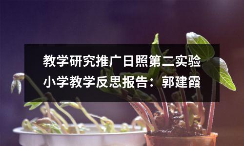 教学研究推广日照第二实验小学教学反思报告：郭建霞