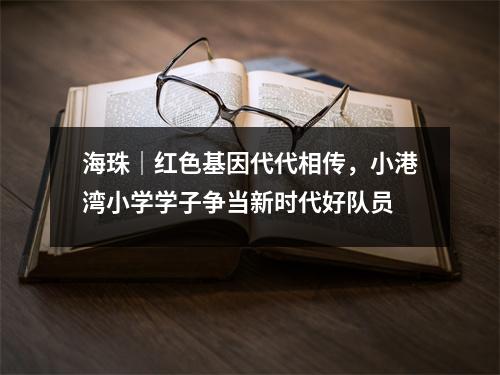 海珠|红色基因代代相传,小港湾小学学子争当新时代好队员