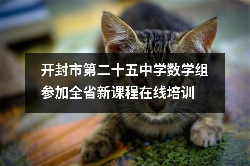 开封市第二十五中学数学组参加全省新课程在线培训