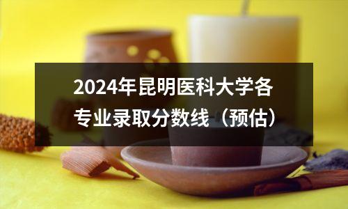 2024年昆明医科大学各专业录取分数线(预估)