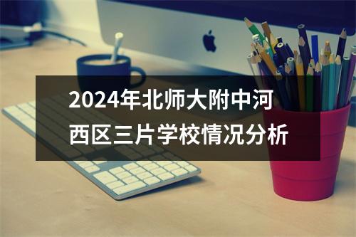 2024年北师大附中河西区三片学校情况分析