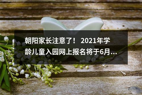 朝阳家长注意了! 2021年学龄儿童入园网上报名将于6月1日启动