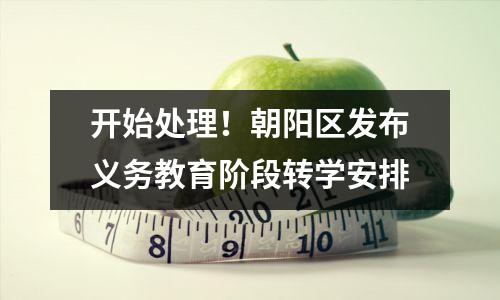 开始处理!朝阳区发布义务教育阶段转学安排