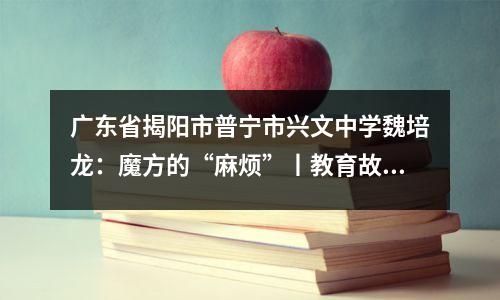 广东省揭阳市普宁市兴文中学魏培龙:魔方的“麻烦”丨教育故事