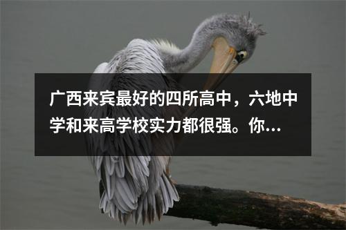 广西来宾最好的四所高中,六地中学和来高学校实力都很强。你觉得哪一位更强呢?