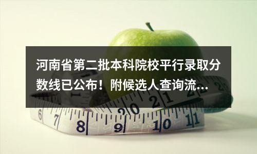河南省第二批本科院校平行录取分数线已公布!附候选人查询流程