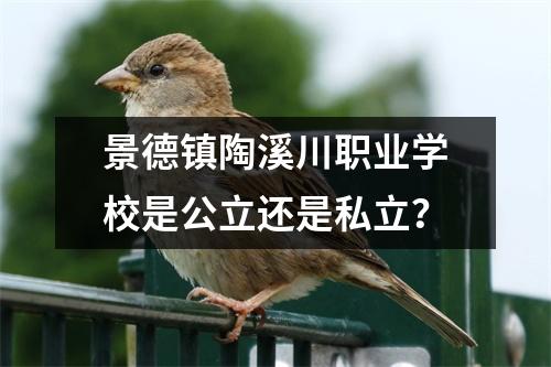 景德镇陶溪川职业学校是公立还是私立?