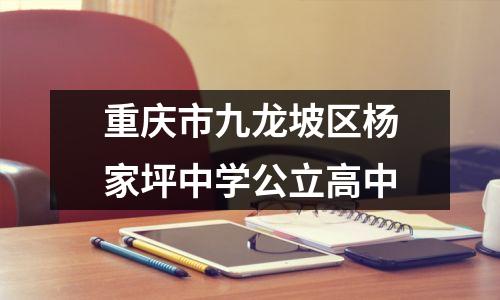 重庆市九龙坡区杨家坪中学公立高中
