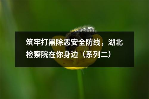 筑牢打黑除恶安全防线,湖北检察院在你身边(系列二)