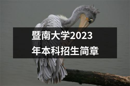 暨南大学2023年本科招生简章