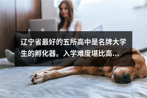 辽宁省最好的五所高中是名牌大学生的孵化器。入学难度堪比高考。