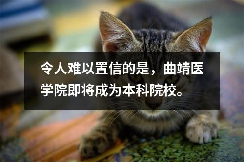 令人难以置信的是,曲靖医学院即将成为本科院校。