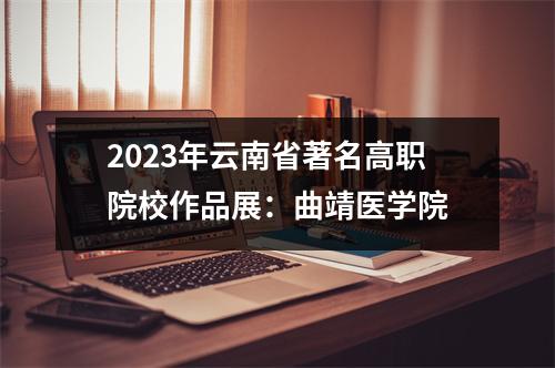 2023年云南省著名高职院校作品展:曲靖医学院