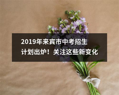 2019年来宾市中考招生计划出炉!关注这些新变化
