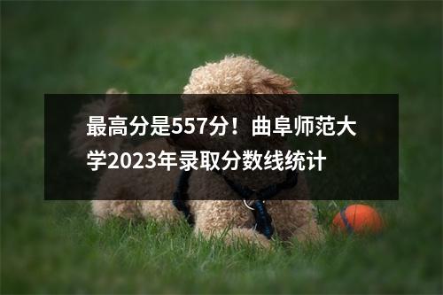 最高分是557分!曲阜师范大学2023年录取分数线统计