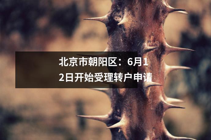 北京市朝阳区:6月12日开始受理转户申请