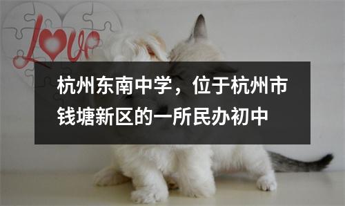 杭州东南中学,位于杭州市钱塘新区的一所民办初中