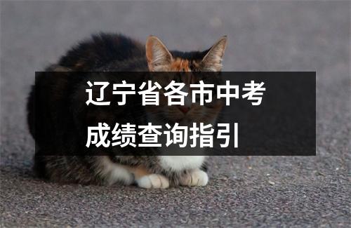 辽宁省各市中考成绩查询指引