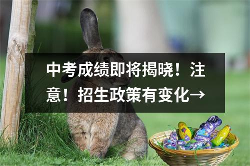 中考成绩即将揭晓!注意!招生政策有变化→