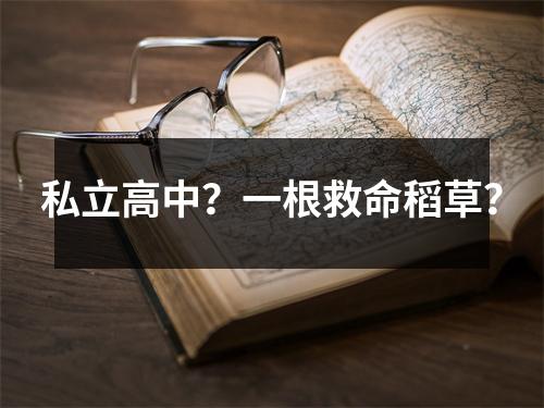 私立高中?一根救命稻草?
