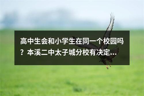 高中生会和小学生在同一个校园吗?本溪二中太子城分校有决定了!
