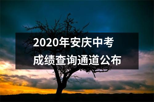 2020年安庆中考成绩查询通道公布