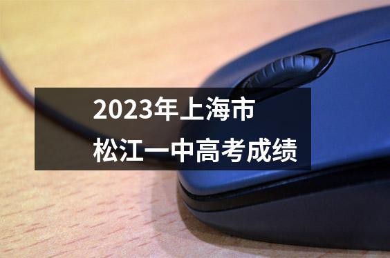 2023年上海市松江一中高考成绩