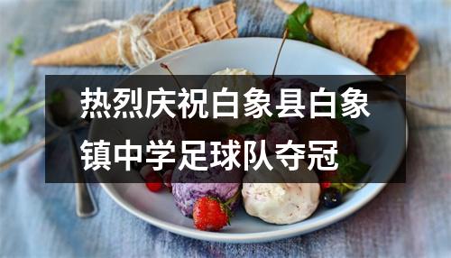 热烈庆祝白象县白象镇中学足球队夺冠