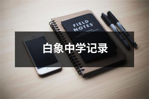 白象中学记录