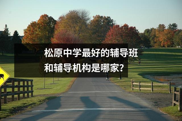 松原中学最好的辅导班和辅导机构是哪家?