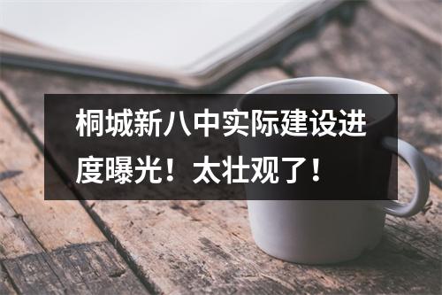 桐城新八中实际建设进度曝光!太壮观了!