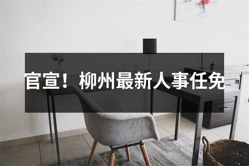 官宣!柳州最新人事任免