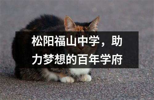 松阳福山中学,助力梦想的百年学府