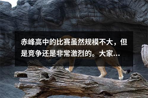 赤峰高中的比赛虽然规模不大,但是竞争还是非常激烈的。大家都同意,五个梯队是这样划分的