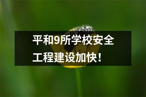 平和9所学校安全工程建设加快!