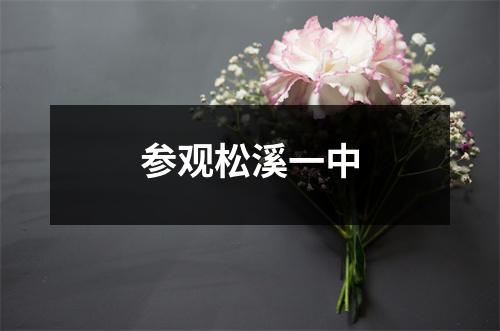 参观松溪一中