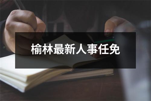 榆林最新人事任免