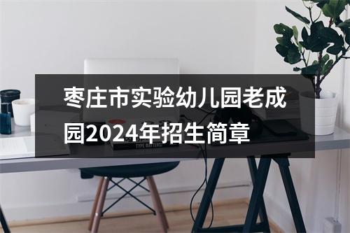 枣庄市实验幼儿园老成园2024年招生简章