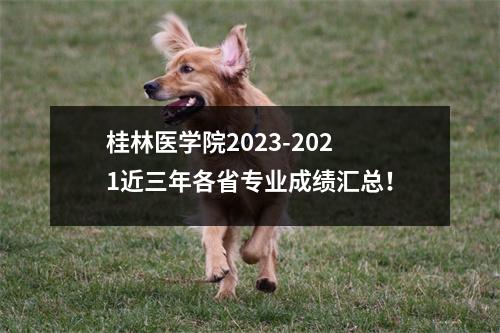桂林医学院2023-2021近三年各省专业成绩汇总!