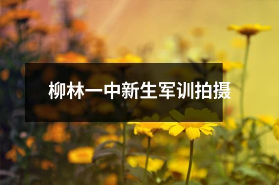 柳林一中新生军训拍摄