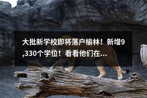 大批新学校即将落户榆林!新增9,330个学位!看看他们在哪里?